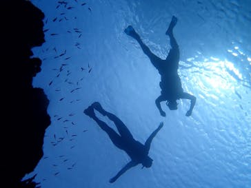 石垣島 ADVENTURE PiPi（イシガキジマアドベンチャーピピ）に投稿された画像（2020/8/29）