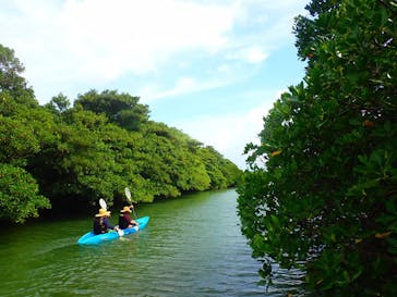 石垣島 ADVENTURE PiPi（イシガキジマアドベンチャーピピ）に投稿された画像（2020/8/29）