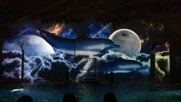 株式会社Gに投稿された画像（2020/8/29）