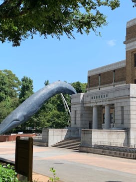 国立科学博物館に投稿された画像（2020/8/29）