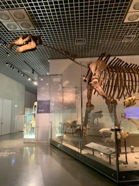 国立科学博物館に投稿された画像（2020/8/29）