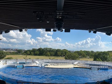 京都水族館に投稿された画像（2020/8/29）