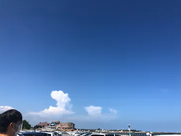 アクアワールド茨城県大洗水族館に投稿された画像（2020/8/29）