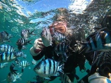 武藤潜水に投稿された画像（2020/8/29）