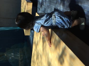 島根県立 しまね海洋館に投稿された画像（2020/8/29）