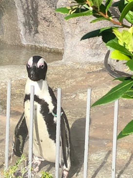 サンシャイン水族館に投稿された画像（2020/8/29）