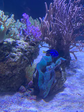 すみだ水族館に投稿された画像（2020/8/29）