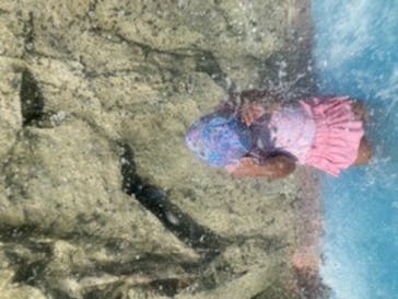 東武動物公園に投稿された画像（2020/8/29）