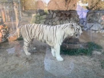 東武動物公園に投稿された画像（2020/8/29）