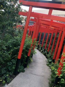 空庭温泉 OSAKA BAY TOWER（オオサカベイタワー）に投稿された画像（2020/8/29）