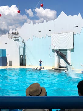 株式会社Gに投稿された画像（2020/8/29）