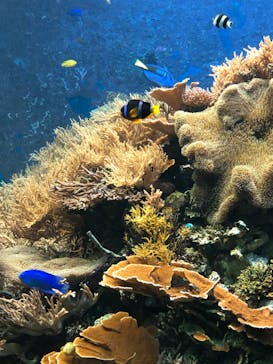 株式会社Gに投稿された画像（2020/8/29）