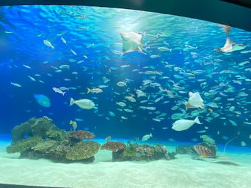 サンシャイン水族館に投稿された画像（2020/8/29）