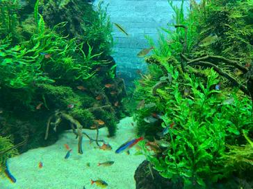 すみだ水族館に投稿された画像（2020/8/29）