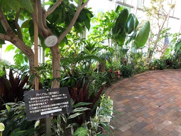 リゾ鳴尾浜に投稿された画像（2020/8/29）