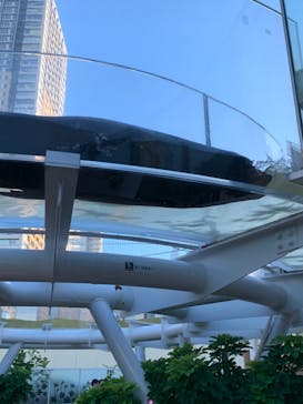 サンシャイン水族館に投稿された画像（2020/8/29）