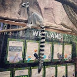 那須どうぶつ王国に投稿された画像（2020/8/29）