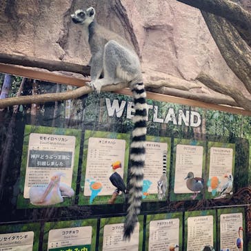 那須どうぶつ王国に投稿された画像（2020/8/29）