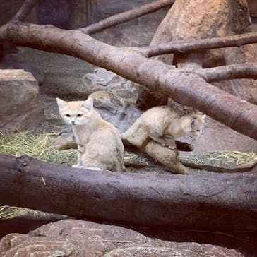 那須どうぶつ王国に投稿された画像（2020/8/29）