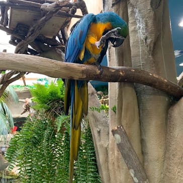 那須どうぶつ王国に投稿された画像（2020/8/29）