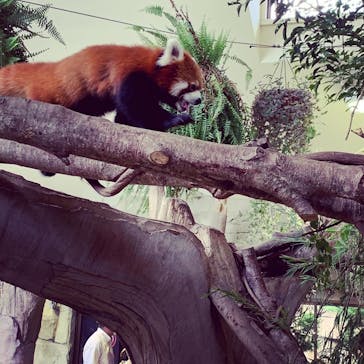 那須どうぶつ王国に投稿された画像（2020/8/29）