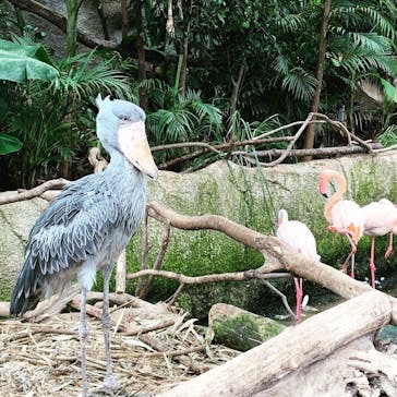 那須どうぶつ王国に投稿された画像（2020/8/29）