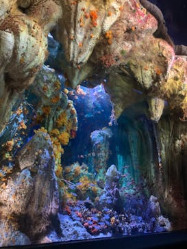 サンシャイン水族館に投稿された画像（2020/8/29）