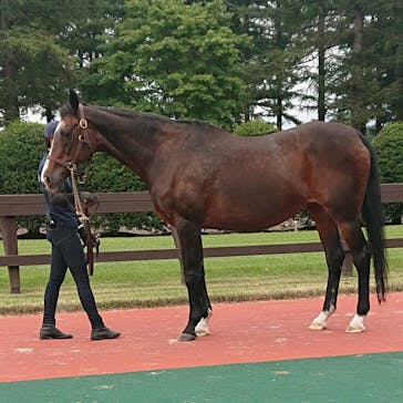 ノーザンホースパークに投稿された画像（2020/8/29）