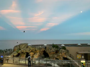 アクアワールド茨城県大洗水族館に投稿された画像（2020/8/29）