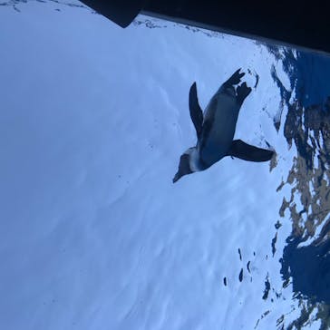 サンシャイン水族館に投稿された画像（2020/8/29）