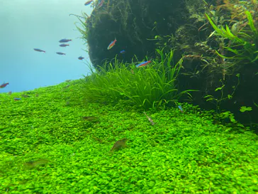 すみだ水族館に投稿された画像（2020/8/29）