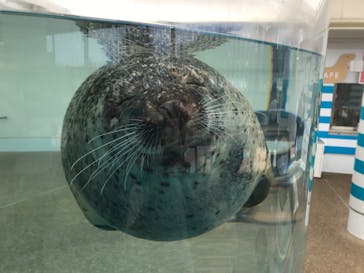 京都水族館に投稿された画像（2020/8/29）