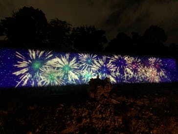 二条城×ネイキッド 二条城夏まつり2021に投稿された画像（2020/8/29）