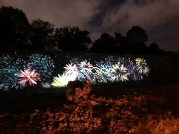 二条城×ネイキッド 二条城夏まつり2021に投稿された画像（2020/8/29）