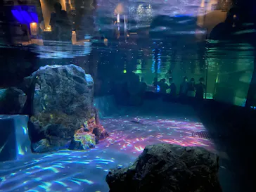 すみだ水族館に投稿された画像（2020/8/29）