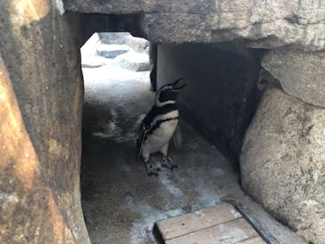 株式会社Gに投稿された画像（2020/8/29）