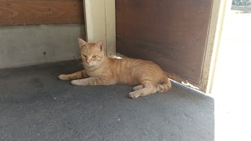 ノーザンホースパークに投稿された画像（2020/8/29）