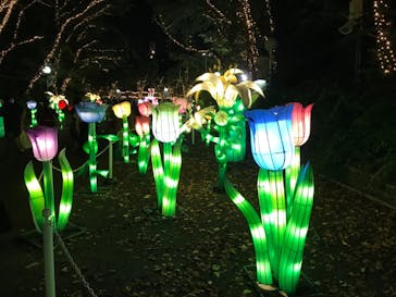 としまえんに投稿された画像（2020/8/29）