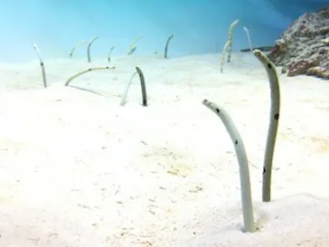 アクアワールド茨城県大洗水族館に投稿された画像（2020/8/29）