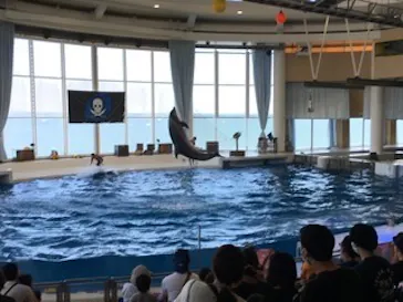 アクアワールド茨城県大洗水族館に投稿された画像（2020/8/29）