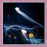 サンシャイン水族館に投稿された画像（2020/8/30）