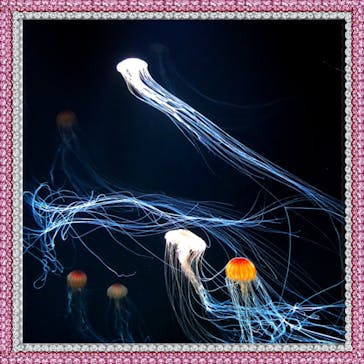 サンシャイン水族館に投稿された画像（2020/8/29）