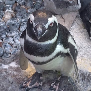 株式会社Gに投稿された画像（2020/8/29）