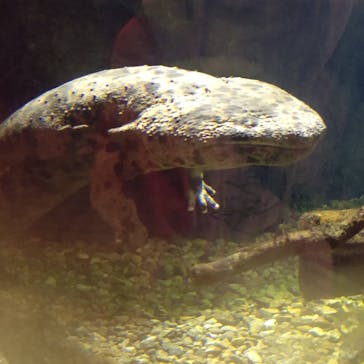 株式会社Gに投稿された画像（2020/8/29）