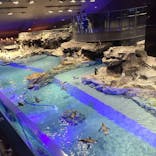 すみだ水族館に投稿された画像（2020/8/30）