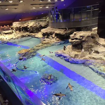 すみだ水族館に投稿された画像（2020/8/29）