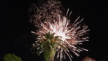 としまえんに投稿された画像（2020/8/30）