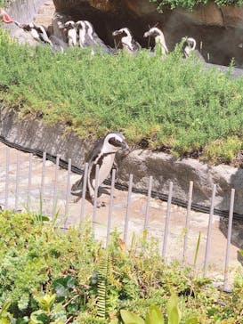 サンシャイン水族館に投稿された画像（2020/8/30）