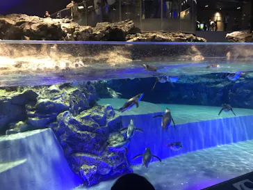 すみだ水族館に投稿された画像（2020/8/30）