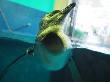 株式会社Gに投稿された画像（2020/8/30）